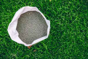 best time to fertilize coastal ms